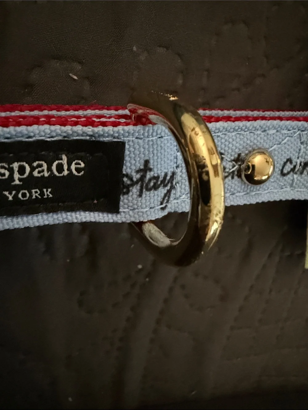 kate spade light blue dog collar with red trim and gold hardware nwot